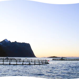 Zone d'élevage - Image 1